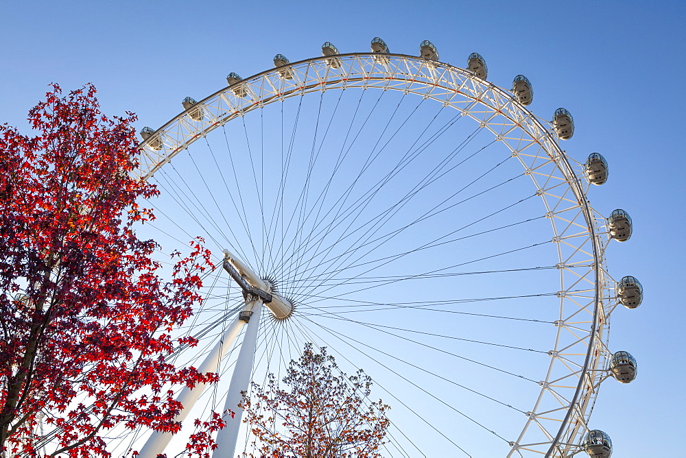 The London Eye on a bright sunny day, London, England, United Kingdom, Europe