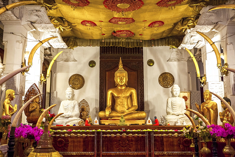 Golden sitting Buddhist statue, Temple of the Sacred Tooth Relic, UNESCO World Heritage Site, Kandy, Sri Lanka, Asia 