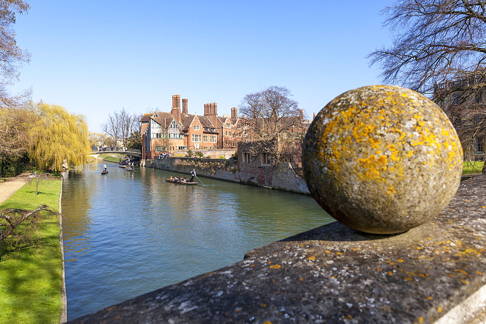 A view of tourists punting along the River Cam along the Backs, Cambridge, Cambridgeshire, England, United Kingdom, Europe