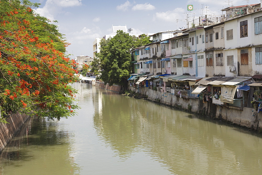 Red blossom and flats along a canal in Banglamphu, Bangkok, Thailand, Southeast Asia, Asia