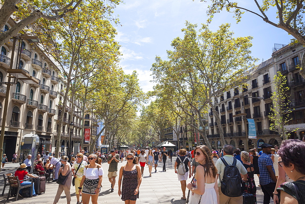 Las Ramblas, Barcelona, Catalonia, Spain, Europe