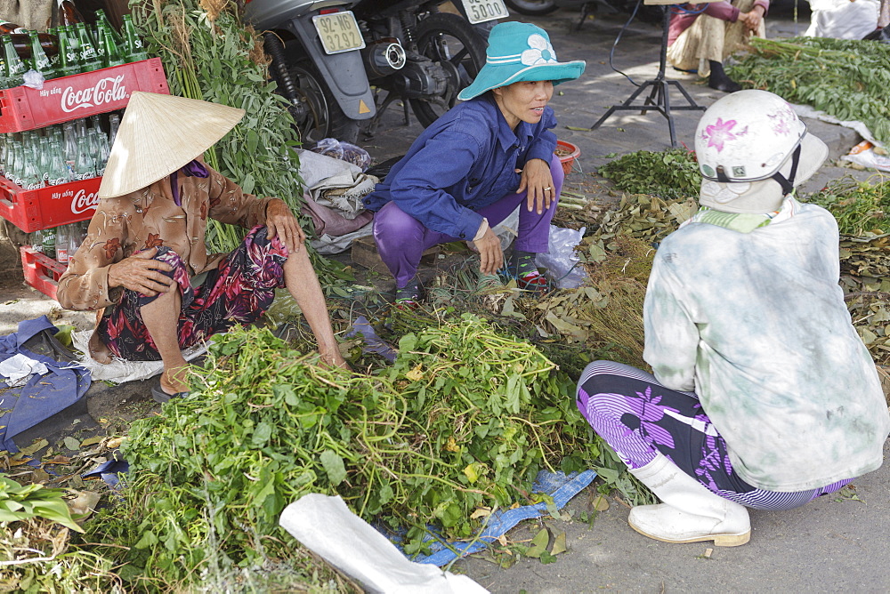 Women sort through their produce at Hoi An's riverside market, Hoi An, Vietnam, Indochina, Southeast Asia, Asia