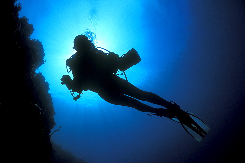 Underwater photographer, diver, silhouetting under sun. Gorontalo, Sulaweis, Indonesia.   (rr)