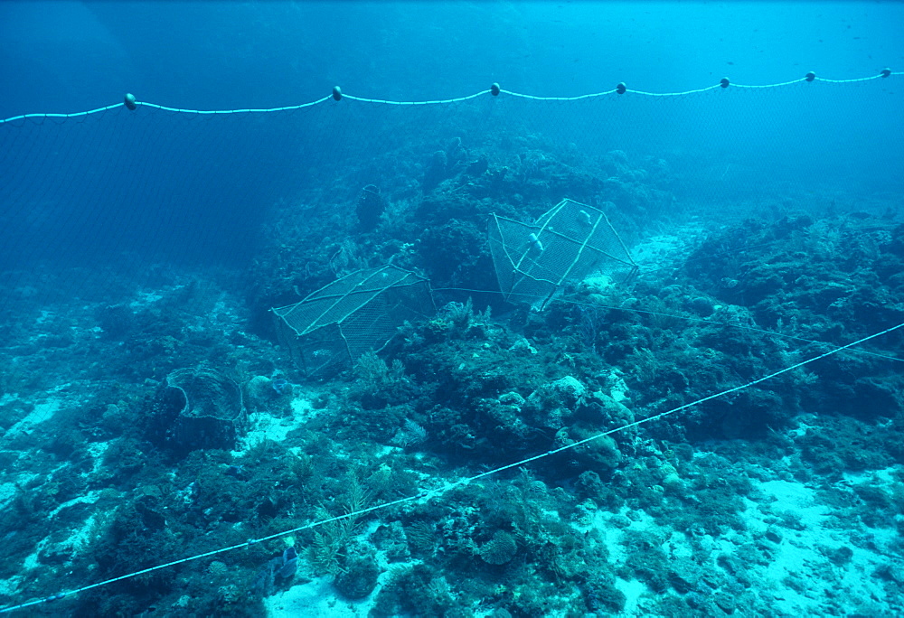 Drift net and fish traps. Indo Pacific