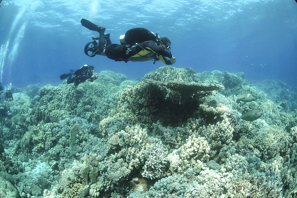 Diver with scooter. Hurghada, Red Sea, Egypt.   (RR)