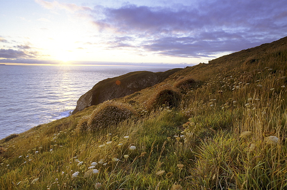 Sunset on the English coast, North Devon, UK