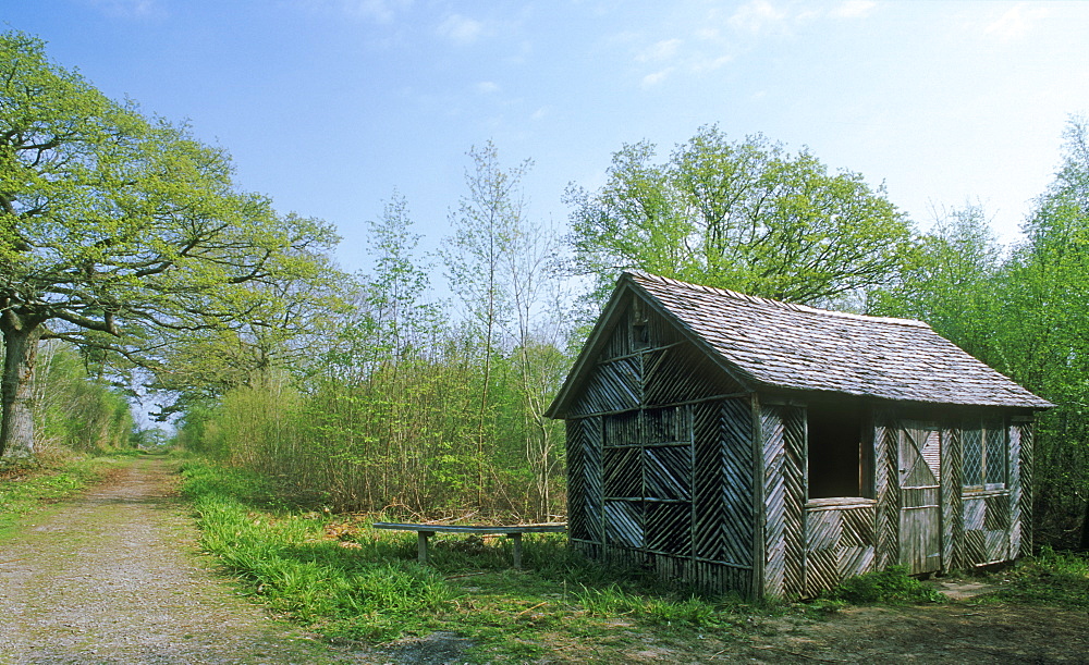 Forester's hut, Gloucestershire, UK