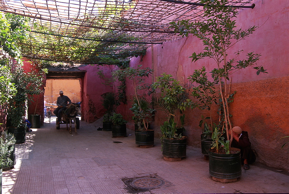 Street activity, Marrakesh, Morocco