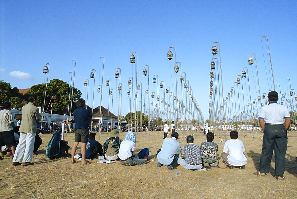 Bird singing competition, Yogyakarta, Java, Indonesia