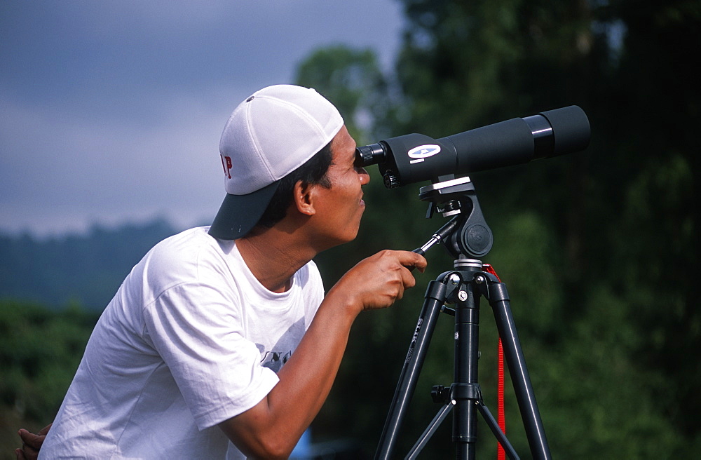 Bird spotting in Gunung Halimun National Park, West Java, Indonesia