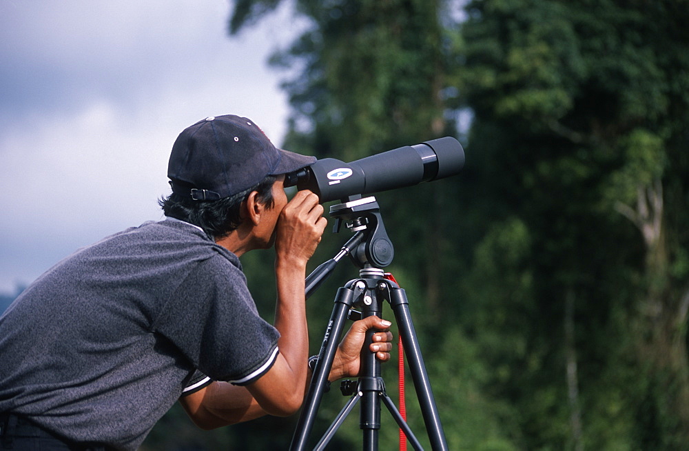 Bird spotting in Gunung Halimun National Park, West Java, Indonesia