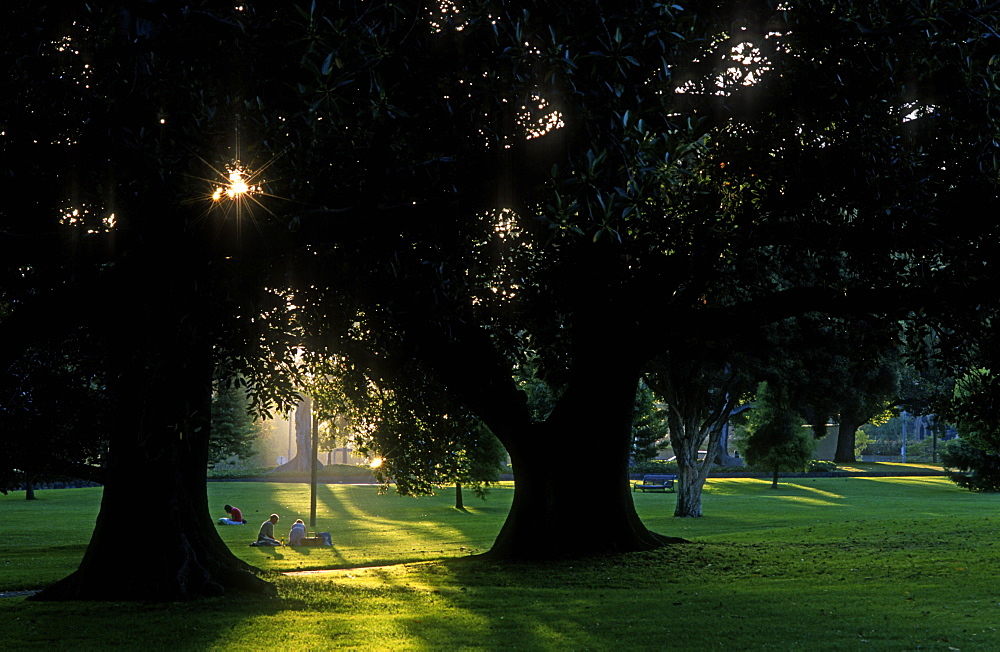 Picnic at sunset, Fitzroy Gardens, Melbourne, Australia