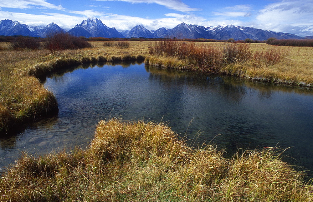 Willow flats and Teton Mountain range, Grand Teton National Park, Wyoming, USA