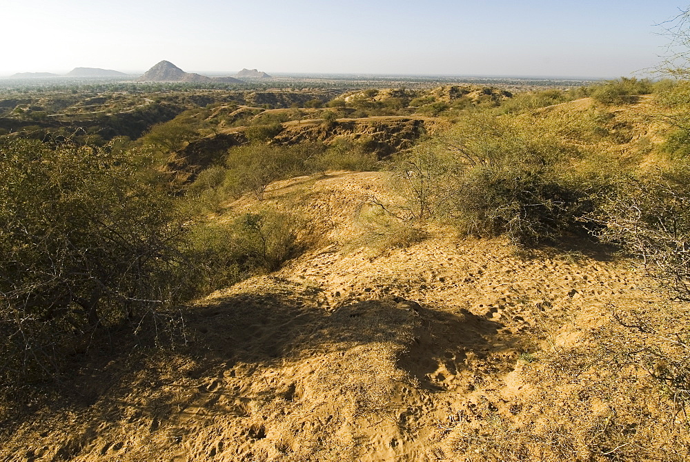 Desert landscape west of the city of Jaipur, Rajasthan, India
