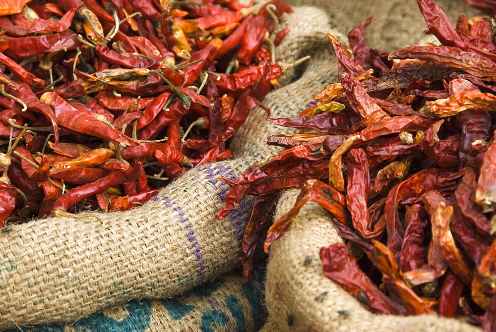 Dried chilli peppers in hessian sack for sale, Udaipur, Rajasthan, India