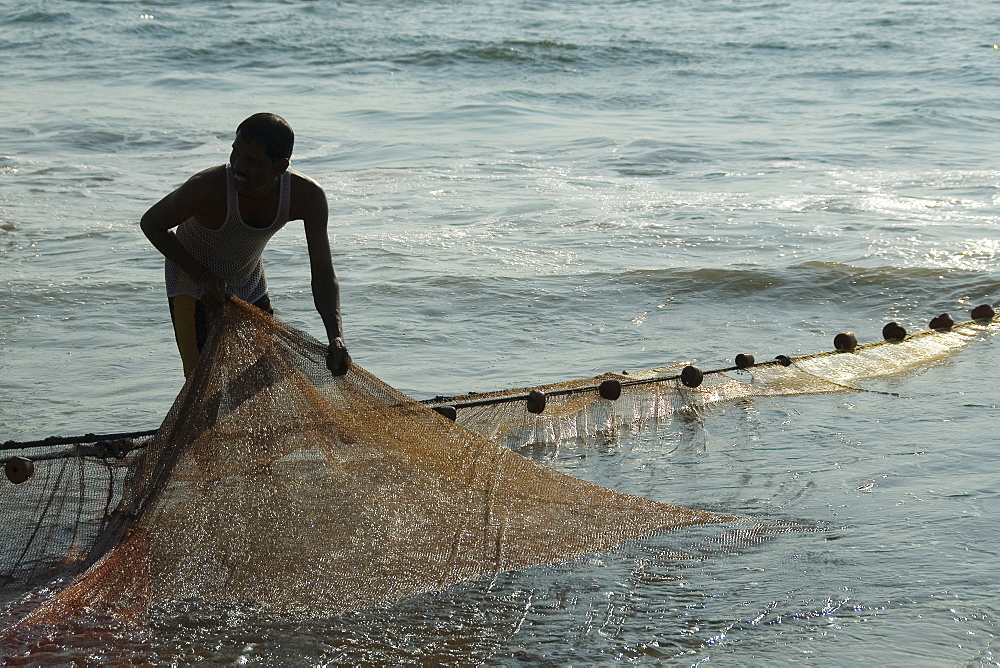 Fisherman hauling in the fishing net on the beach, Goa, India