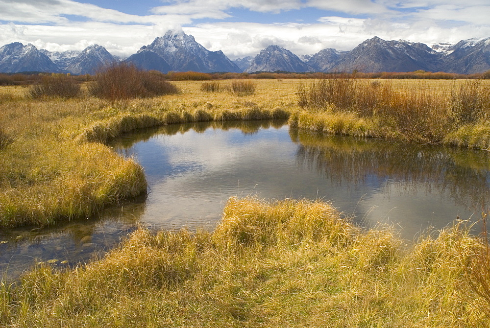 Pond in Willow flats looking at the Grand Teton mountain range, Wyoming, USA