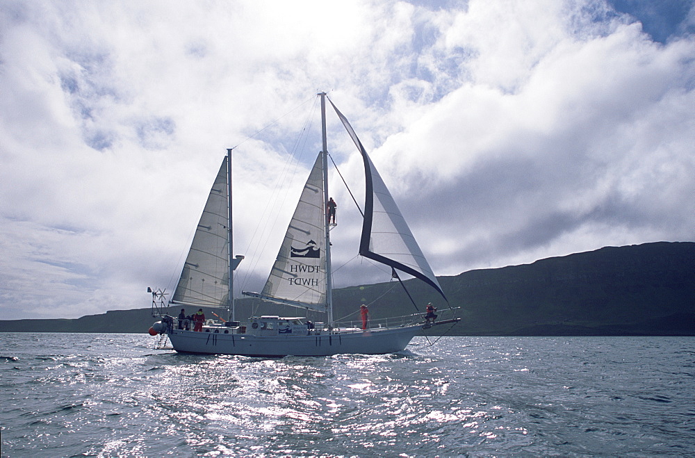 Whale biologists working from research yacht, Silurian, in the Hebrides, Scotland.