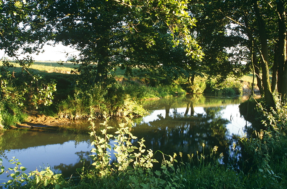 Sussex river. UK