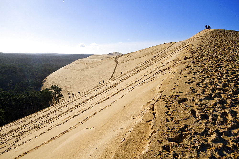 Pilat Dune in Test-de-Buch, at 110 m high, the highest sand dune in Europe, Nouvelle Aquitaine, France, Europe