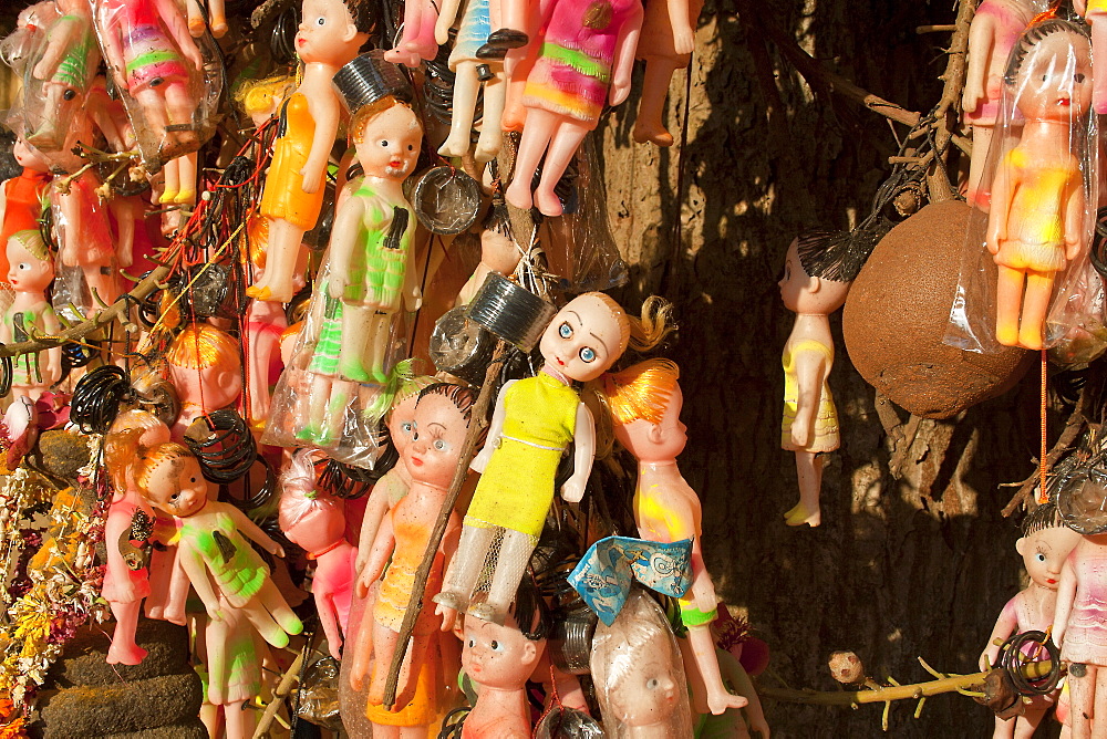 1000s of white dolls hung grotesquely on a canon ball tree for fertility, in the Janardhana swamy Hindu temple in Varkala,Kerala, India. more info: We need to question our need to reproduce more and more of us. As over population is the root of most of our problems.