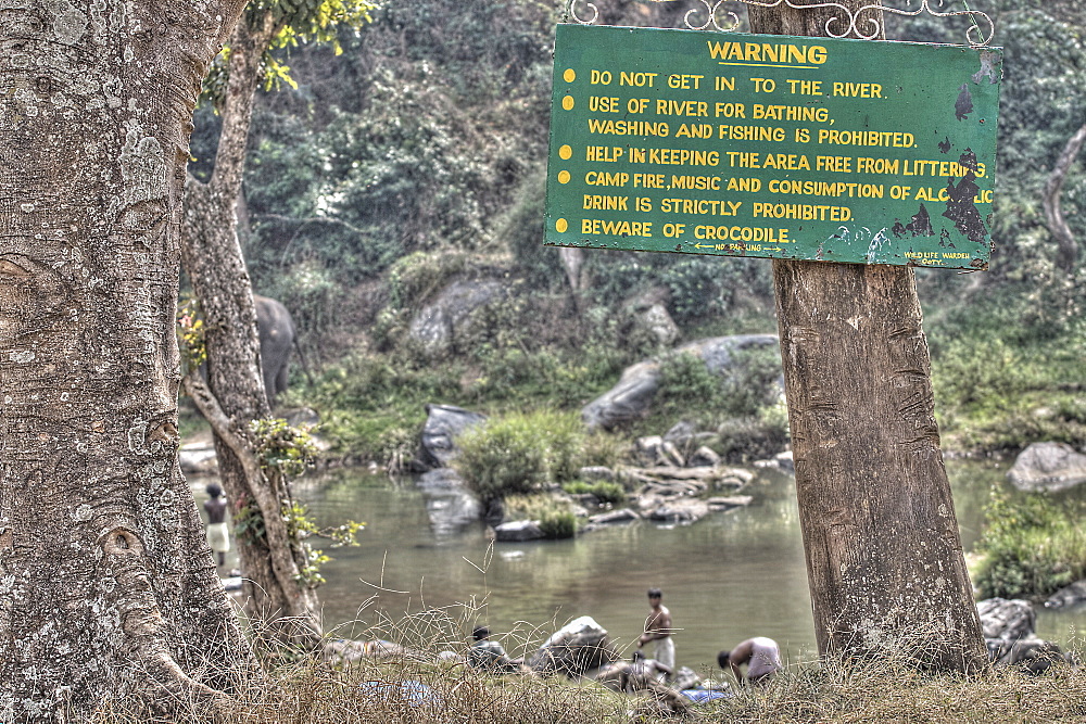 Young Indian men bathing in the river flaunting the Environmental rules beside them. Next to the HQ in Mudumalai Wildlife sanctuary/National park/tiger reserve/ biosphere reserve in Tamil Nadu India. more info: conflicts arise where villages are allowed to develop inside protected areas. There is still a lot of wildlife here but a sizable settlement is appearing around the visitor centre with large scale use of the river as laundry, rubbish dump etc. If laws are not enforced they have no value.