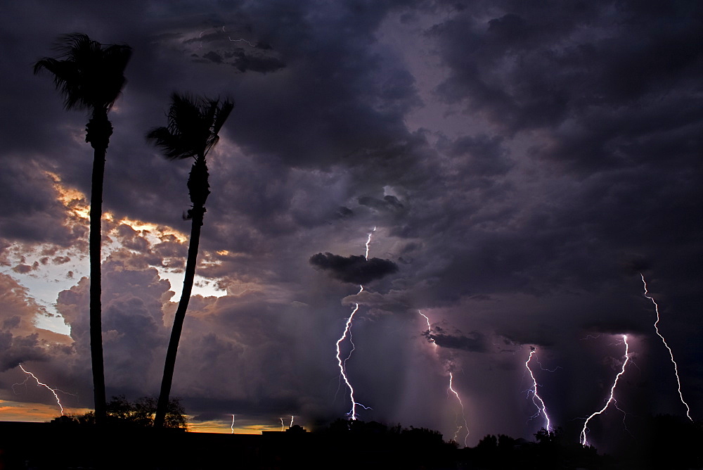 Early Evening Display, Lightning; Thunderstorm; Early evening lightning storm; Tucson; Arizona