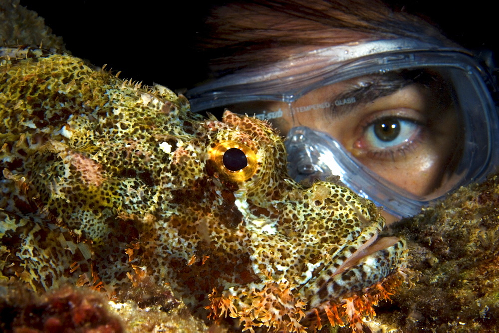 Scorpion fish eye with diver eye, Indonesia