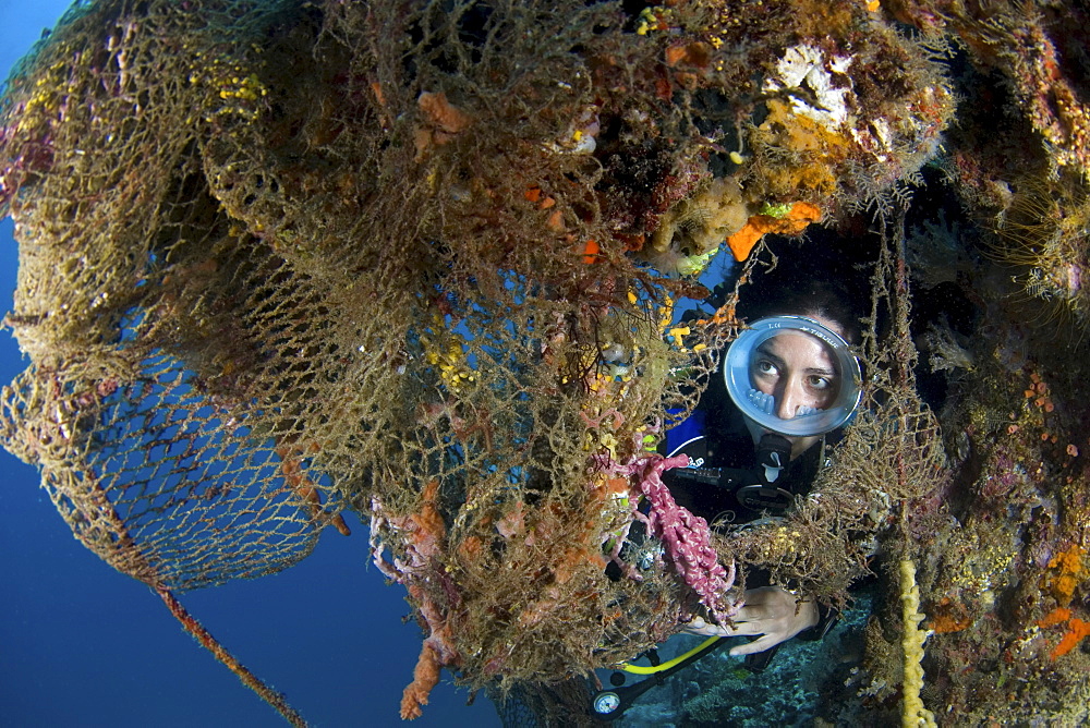 Fishing net on coral reef and diver, Indonesia