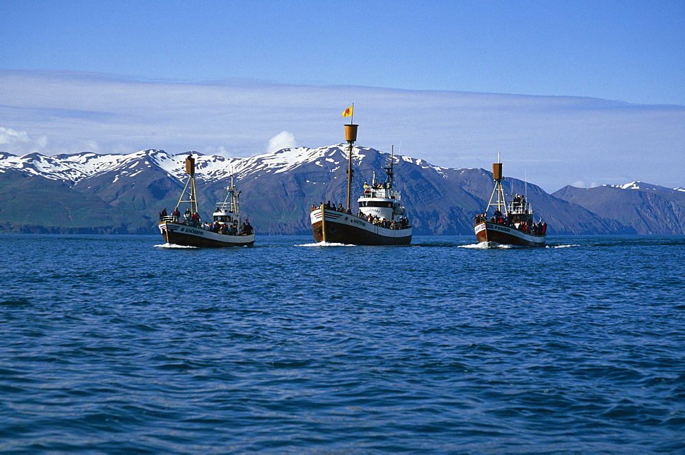 Fleet of North Sailing's whale-watching boats in beautiful setting of Skj·lfandi Bay. HusavÌk, Iceland.