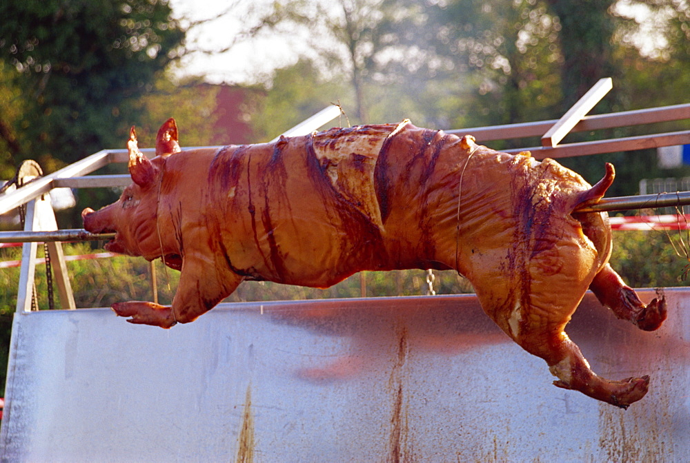 Hog roast