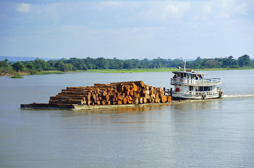 Transporting logs on the Curua-Unn River, near Amazon, Brazil, South America