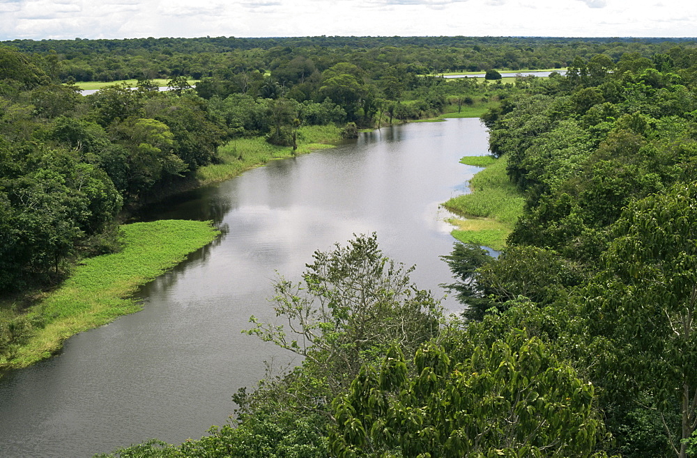 Anavilhanas archipelago, Rio Negro, Amazon area, Brazil, South America