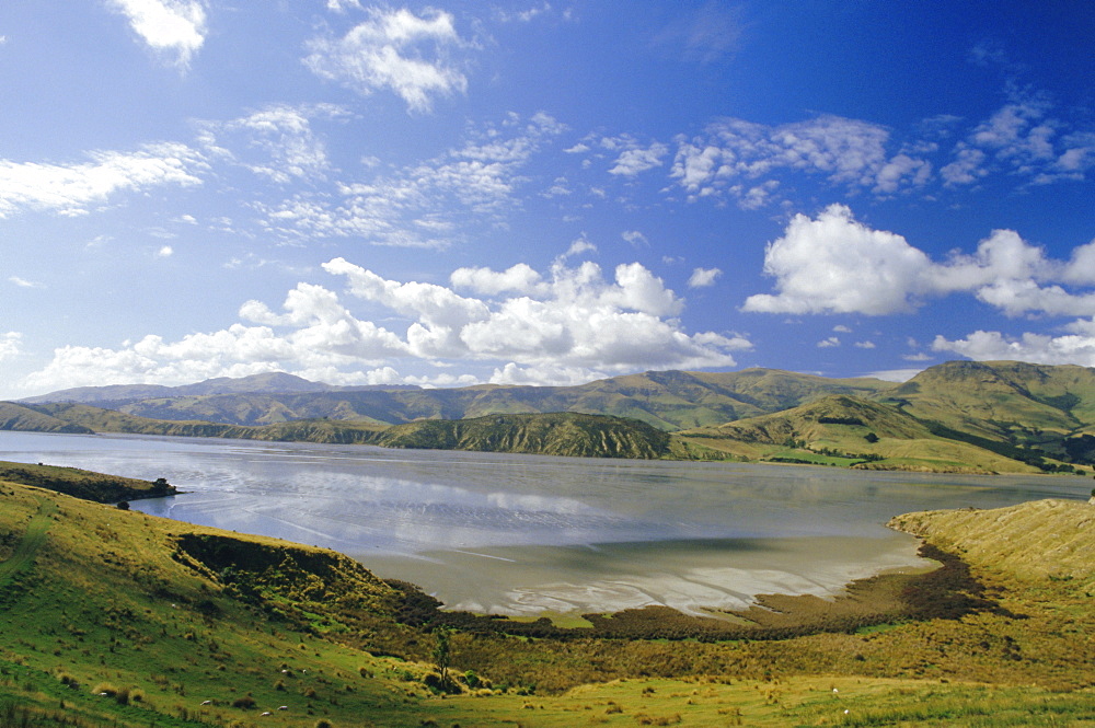 The Banks Peninsula, Canterbury, South Island, New Zealand