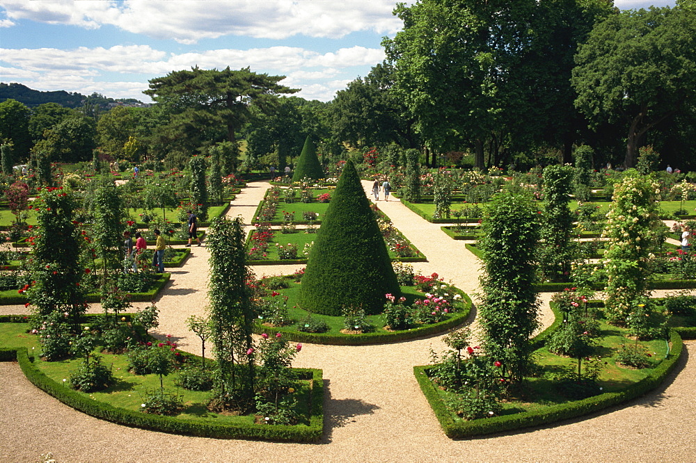 Bagatelle rose garden, Bois de Boulogne, Paris, France, Europe