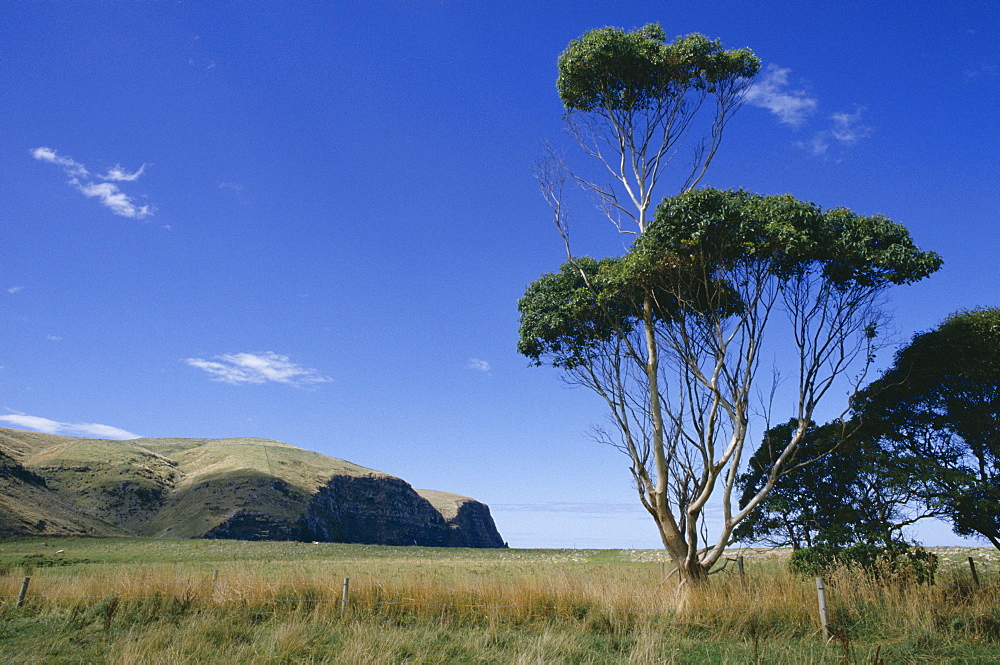 Hickory Bay, Banks Peninsula, Canterbury, South Island, New Zealand, Pacific