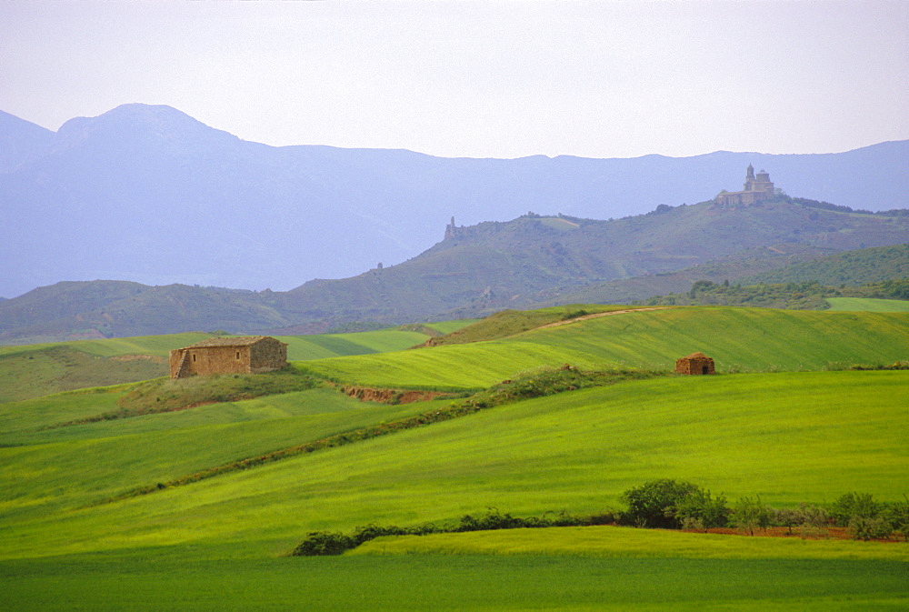 Landscape near Los Arcos, Navarre, Spain, Europe