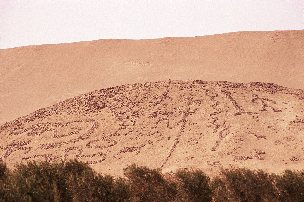 Pre-Columbian geoglyphs, Norte Grande, Arica, Chile, South America