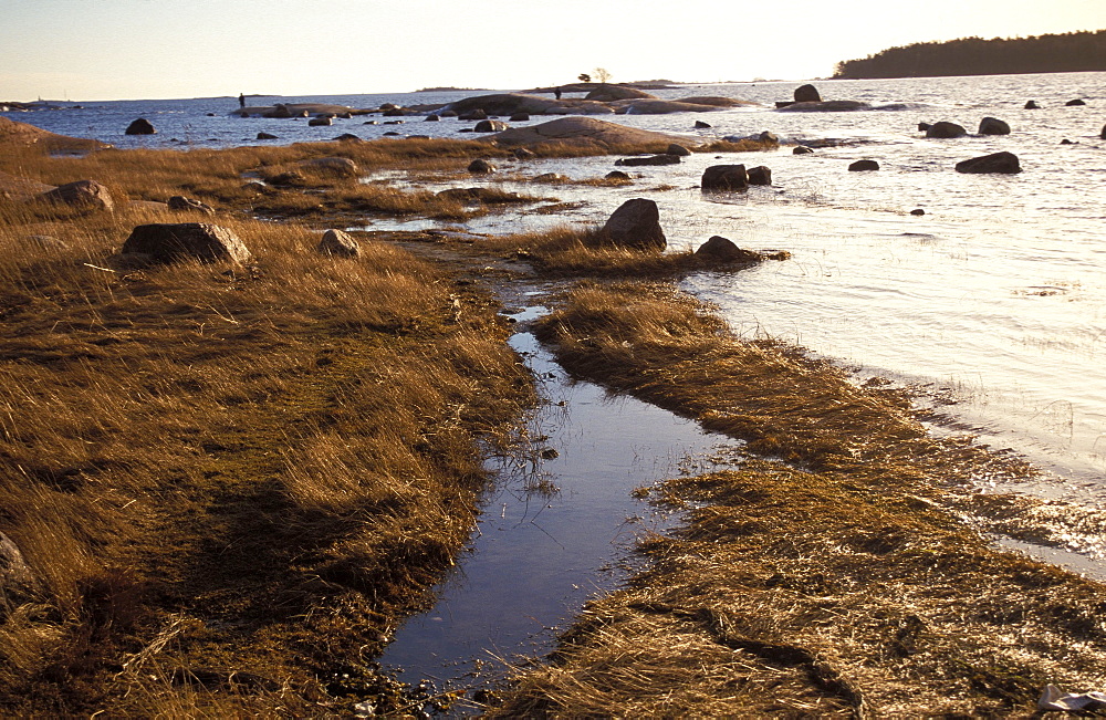 Lautasaari, Baltic coast, Helsinki, Finland, Scandinavia, Europe