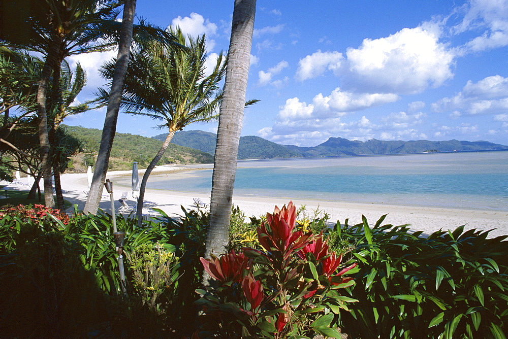 Resort beach, Hayman Island, Whitsundays, Queensland, Australia, Pacific