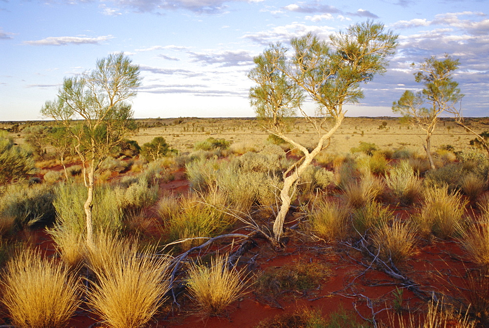 Red Centre landscape near Uluru, Yulara, Northern Territory, Australia