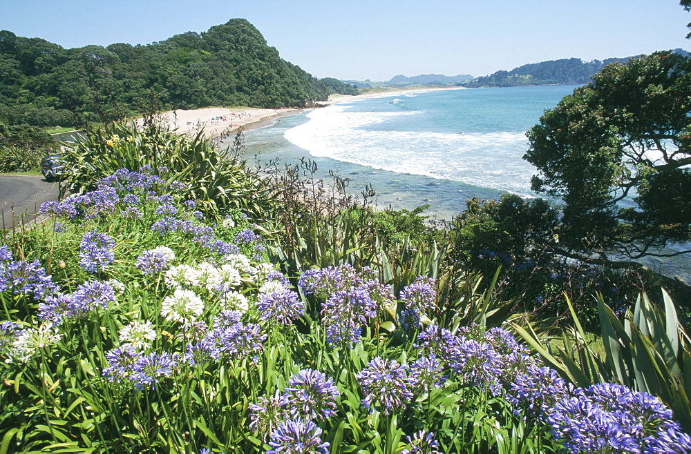 Hot Water Beach, Coromandel Peninsula, South Auckland, North Island, New Zealand, Pacific