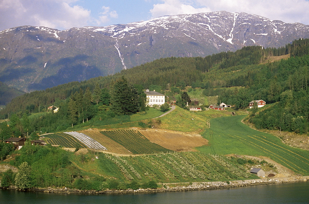 Eidfjord, Norway, Scandinavia, Europe