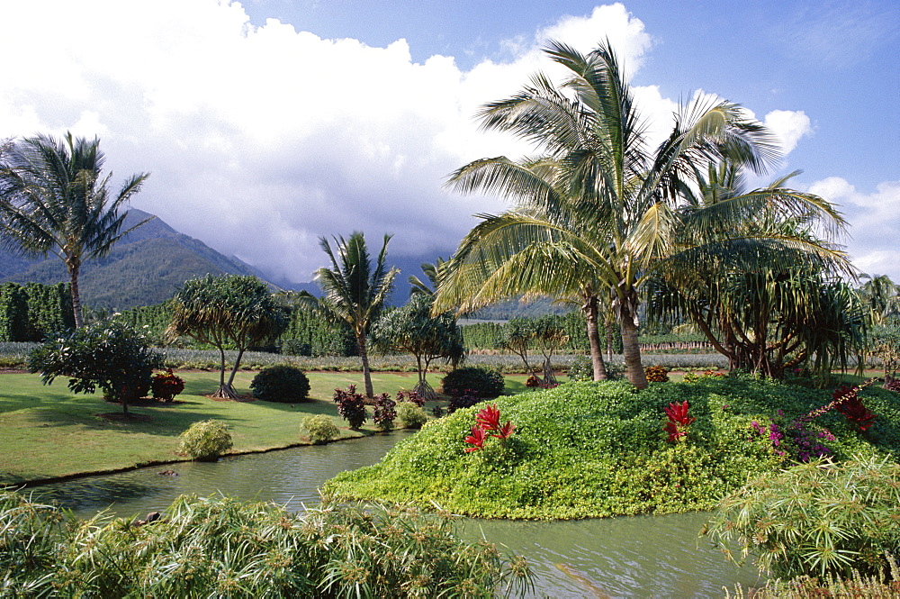 Tropical plantation garden, Maui, Hawaii, Hawaiian Islands, United States of America (U.S.A.), North America