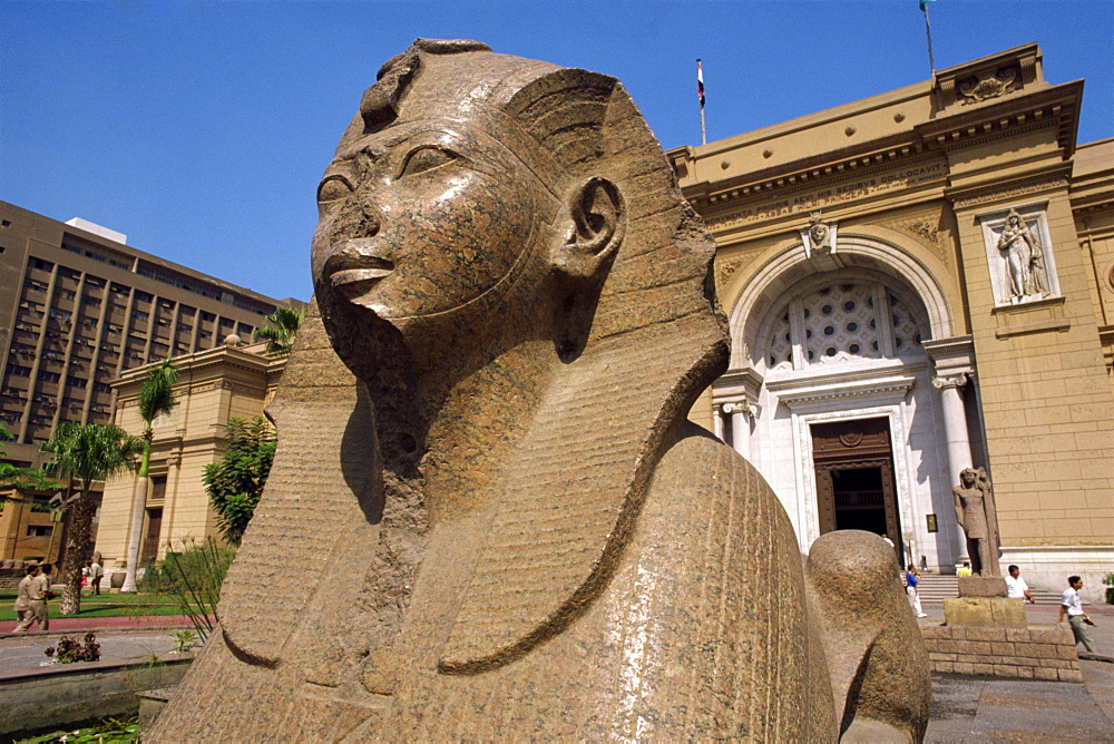 Sphinx outside the Egyptian Museum, Cairo, Egypt, North Africa, Africa