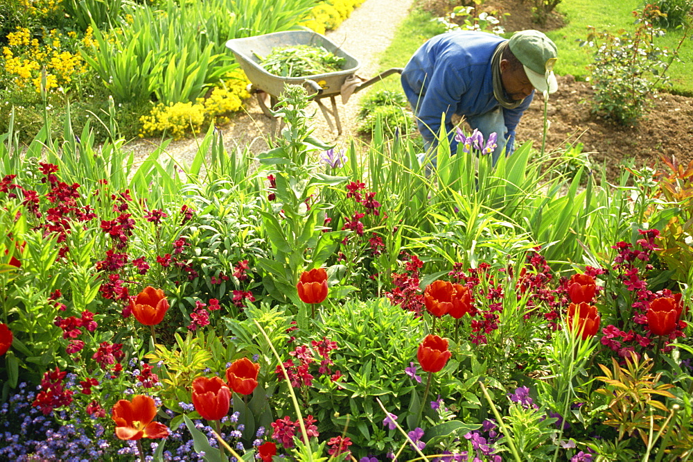 Monet's garden, Giverny, Haute Normandie, France, Europe