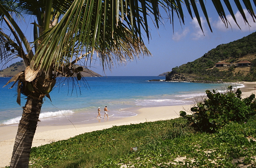 Beach at Anse des Flamands, St. Barts (St. Barthelemy), West Indies, Caribbean, Central America