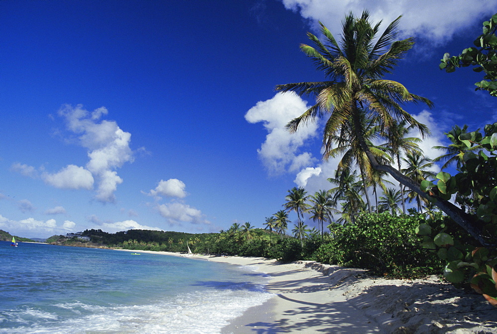 Galley Bay beach, Antigua, Caribbean, West Indies, Central America