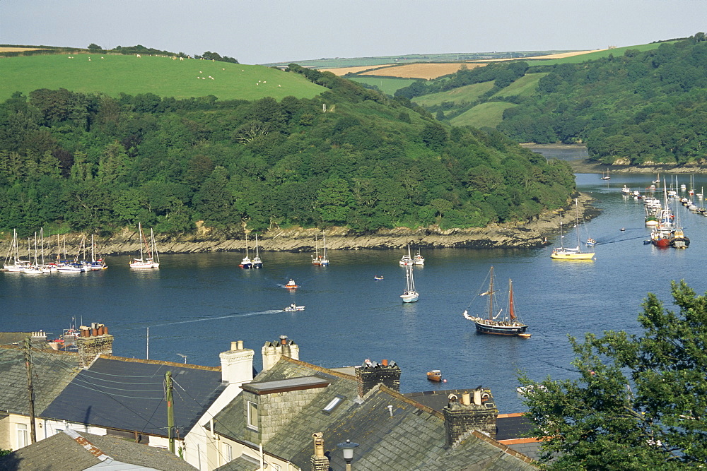 River Fowey and forest area of Hall Walk, Q monument visible through trees, Cornwall, England, United Kingdom, Europe