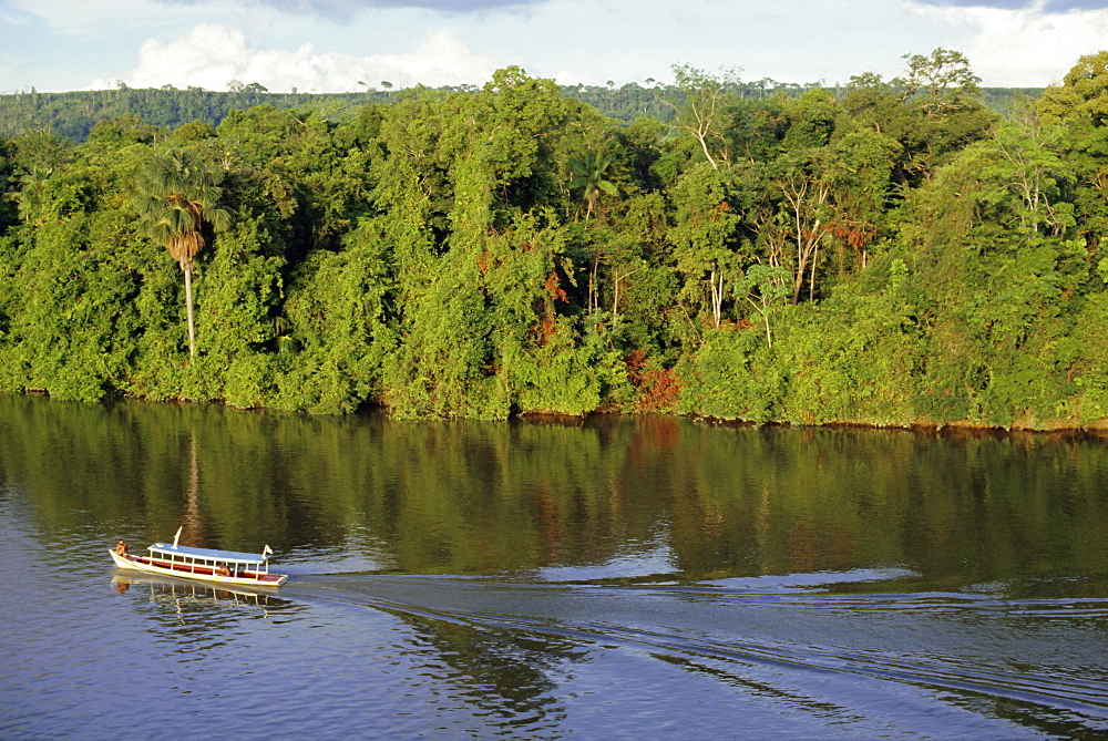 Jari River, Amazon area, Brazil, South America